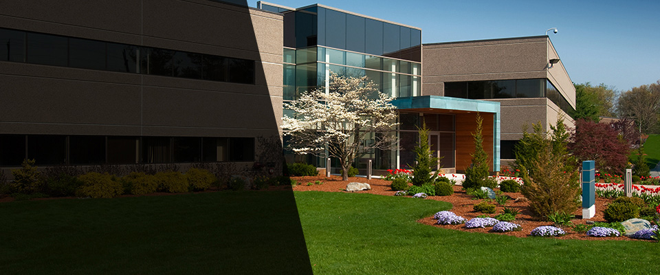 Lone Grove Landscapers