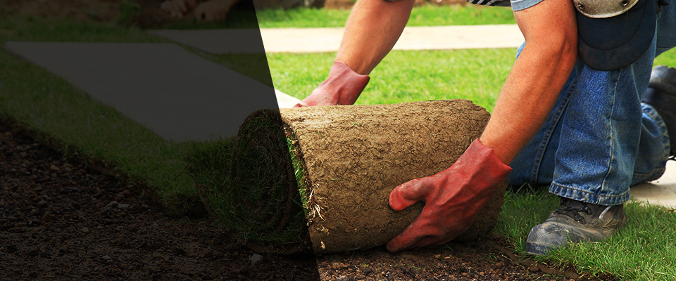 Lone Grove Landscapers